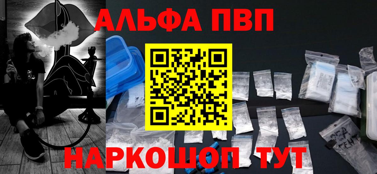 Альфа ПВП СК Сосновый Бор