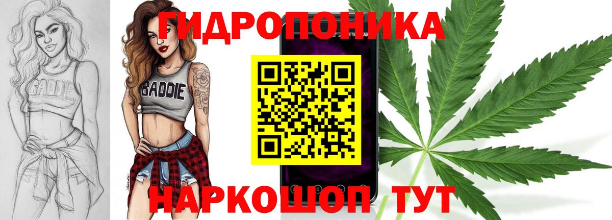 Каннабис ГИДРОПОН  МАРИХУАНА LSD WEED  Вход с VPN  Сосновый Бор  Конопля White Widow 